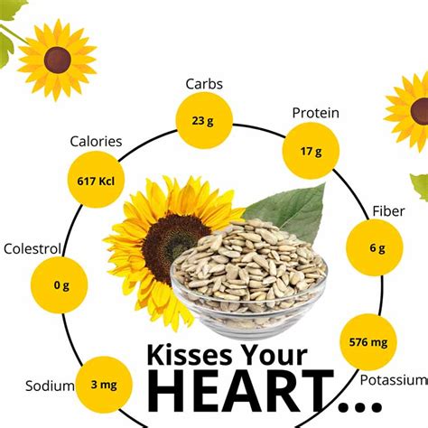 Buy Protein And Vitamins Rich Sunflower Seeds Online | Order 1 Kg ...