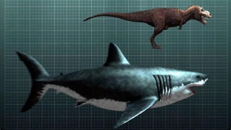 巨齿鲨和霸王龙,旋齿鲨vs巨齿鲨,棘龙vs巨齿鲨_大山谷图库