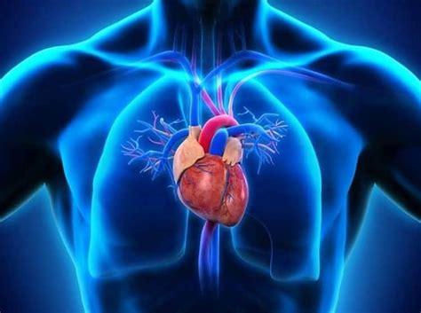 ग्रीन टी के फायदे और नुकसान - Green Tea Benefits and Side Effects in Hindi