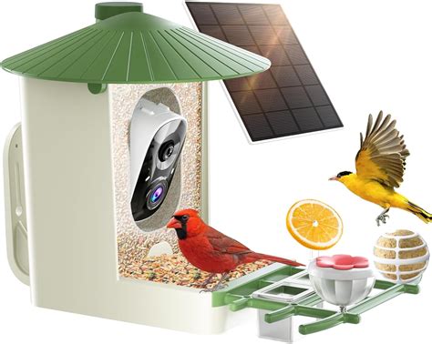Amazon.com : SOLIOM Smart Bird Feeder with Camera with Solar Panel - 2K ...