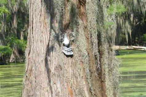 Image result for Minecraft Tree Face