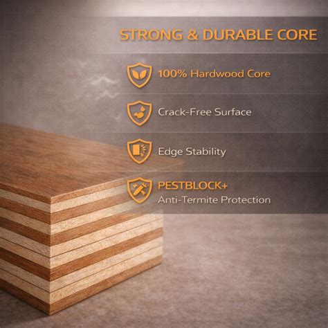 Plyneer Bullet MR Plywood – Premium Okuma Wood for Interiors