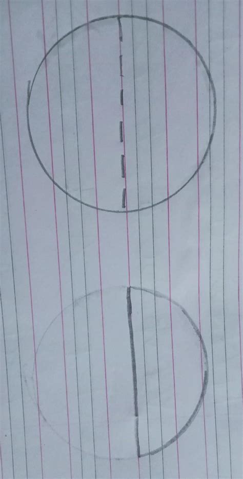 Sudhanshu divides a circular disc of radius 7 cm into equal parts what ...