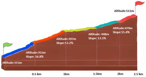 Assessing Trail Running Biomechanics: A Comparative Analysis of the ...