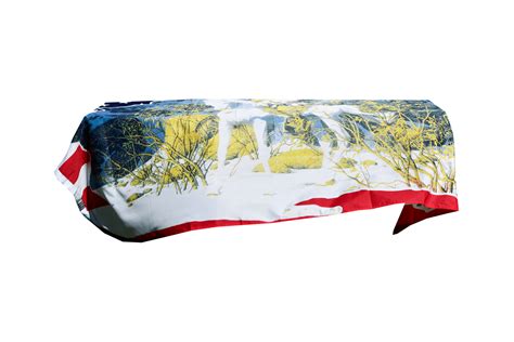 AMERICAN INDIAN FLAG COFFIN DRAPE