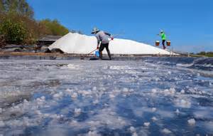 Unveiling the 5 Routes from Ho Chi Minh City to Pham Nhat Vuong’s $9 ...