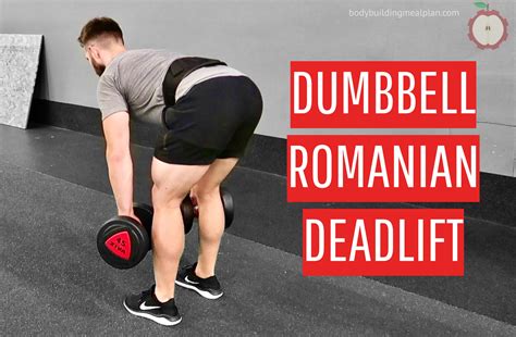 Dumbbell Romanian Deadlift: Benefits, Muscles Worked, And, 47% OFF