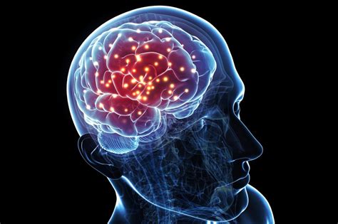 Brain Function 的图像结果