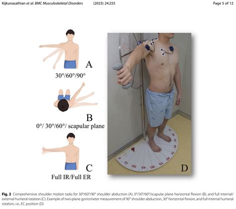 Supraspinatus Test Effect Of Different Loads On The Shoulder In
