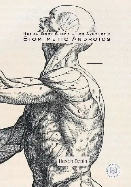 Human Body Shape Likes Synthetic Biomimetic Androids: Engineering the ...