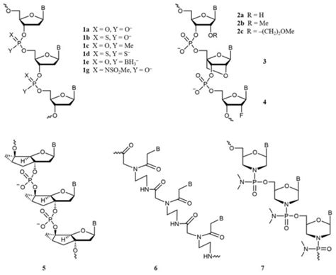 Chemistry of Peptide-Oligonucleotide Conjugates: A Review