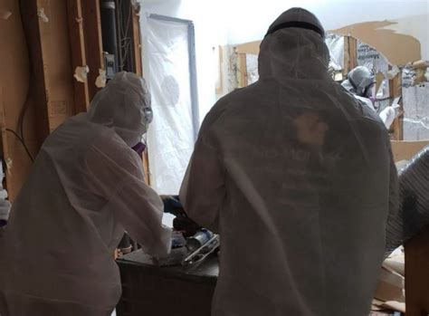 Image result for Mold Remediation Testing