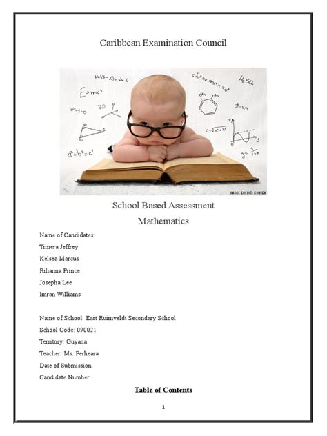 Image result for Example of Math SBA