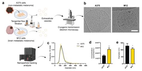 Glycan Node Analysis Detects Varying Glycosaminoglycan Levels in ...