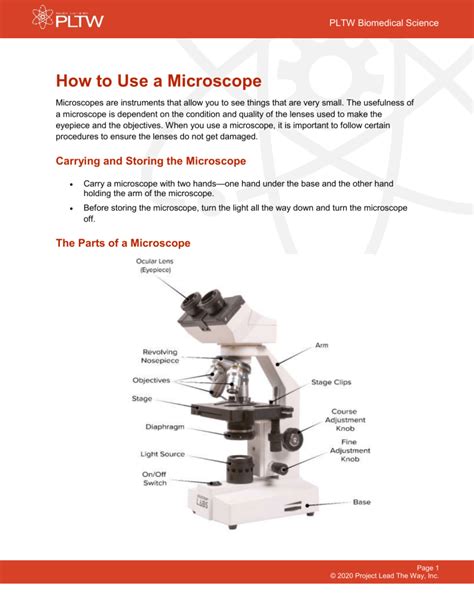 Basic Microscope Use 的图像结果
