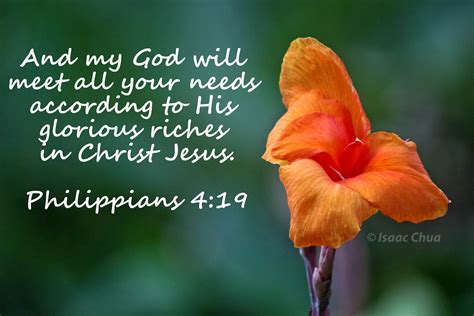 Philippians 4:19 - My God Will Meet All Your Needs
