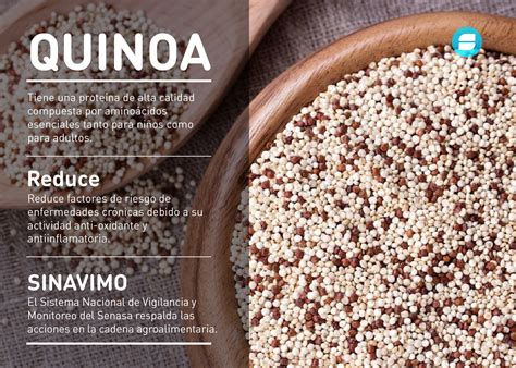 Quinoa Que Es Y Beneficios at Marilyn Lewis blog
