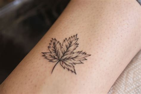 maple leaf tattoo ideas