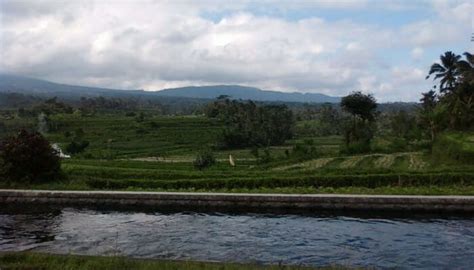 Here Are 4 Amazing Bars Near Pura Luhur Uluwatu Bali You Should Try