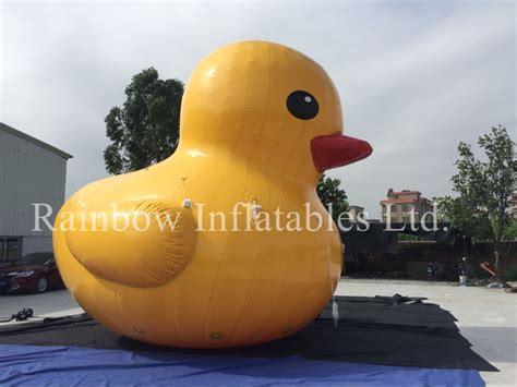 Image result for Deflating Inflatable Duck