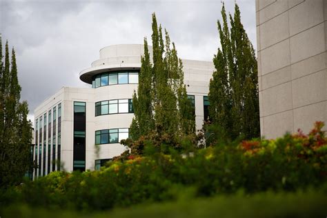 A pricey new plan aims to keep Oregon’s foster kids out of hotels - OPB