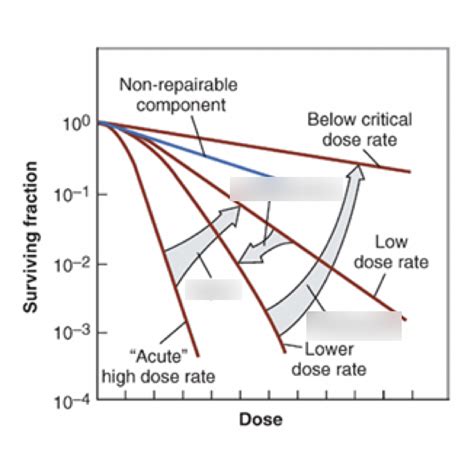 Image result for Non Parallelism