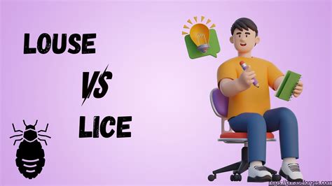 Is Lice Plural or Singular? - Phrase Forges