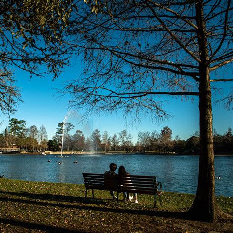 36 Hours in Houston: Things to Do and See - The New York Times