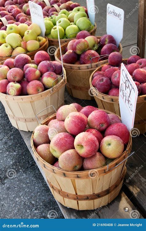 Apple Bushel Royalty-Free Stock Photo | CartoonDealer.com #12941757