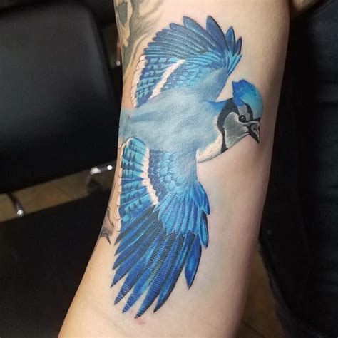 Blue Jay Bird Tattoo - Watercolor Tattoo Design