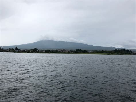 Girish - ruminating online: June 2019