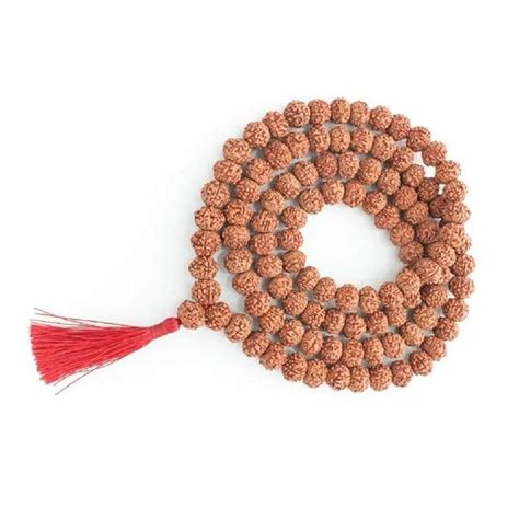 Dharmsaar 8 Mukhi Rudraksha Original Certified Nepali Big Size Mala, 8 ...