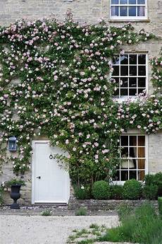Climbing Plants For Front Of House by Our Garden Editor S Guide To Beautifying The Exterior Of Climbing Plants For Front Of House