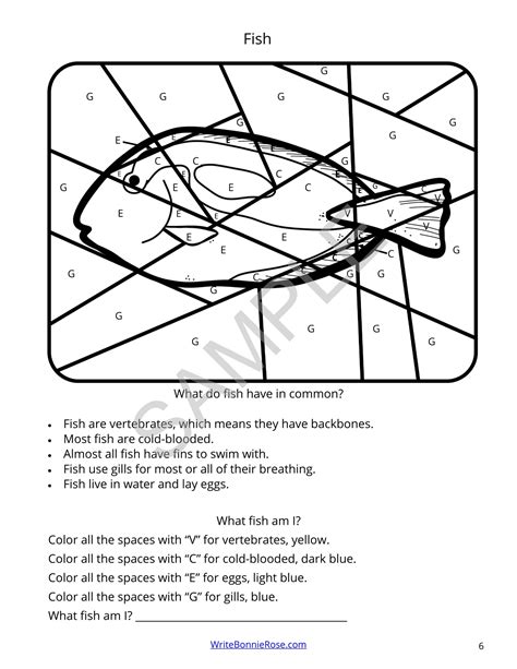Classification by Color Code in Evolution 的图像结果