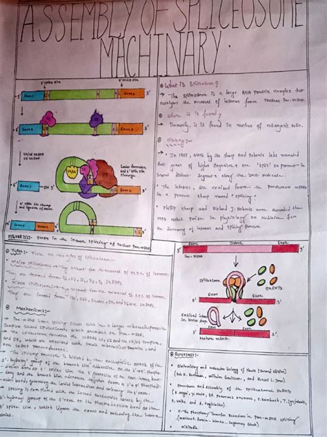 Image result for DNA Splicing Machine