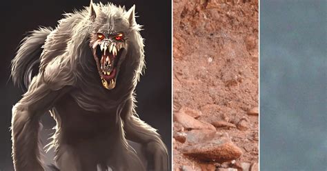 Image result for Cryptid Creatures