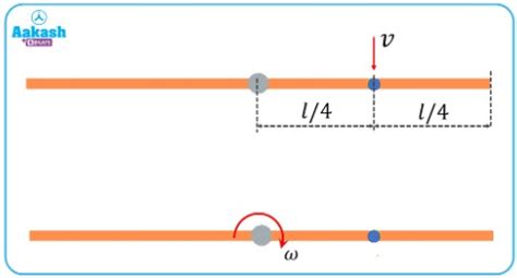 Angular Momentum - Definition, Units, Examples & Formula - Physics ...