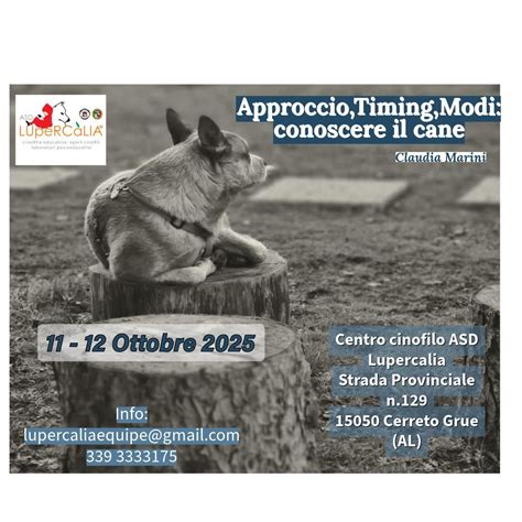 APPROCCIO, TIMING, MODI: CONOSCERE IL CANE, ASD Lupercalia, Voghera, 11 ...