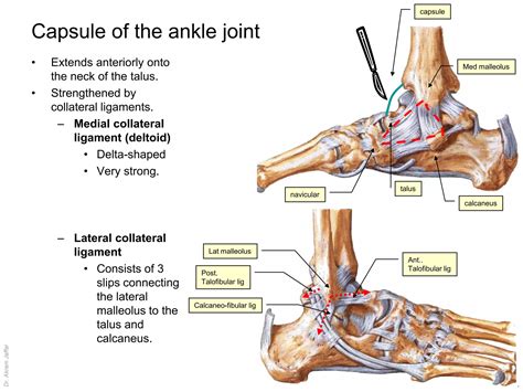 Hip Hop Dance Tutorial 的图像结果