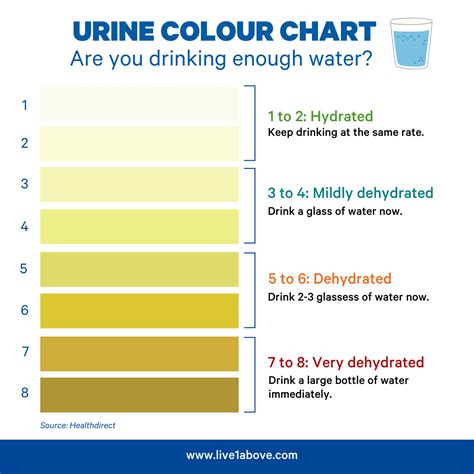 Urinary Color Chart Pee Meaning, Dark Urine, Urine Color,color Of Your