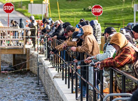 Scenes from the 1st day of trout season in central Pa.: photos ...