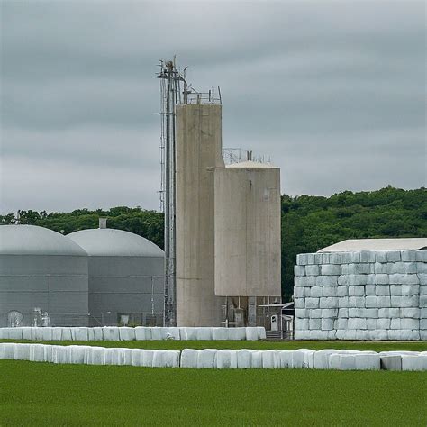 Baling Napier Grass: Maximizing Efficiency in Bio-CNG Production