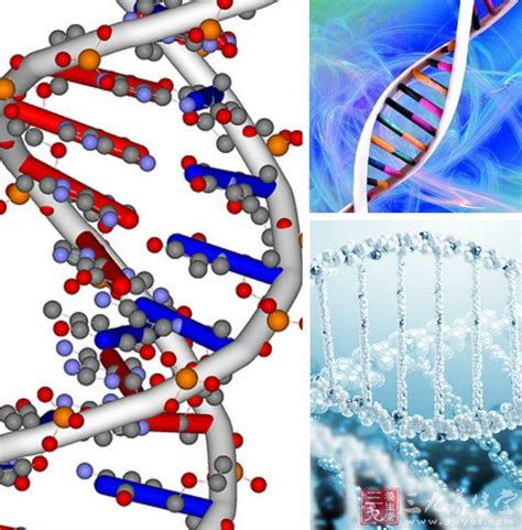 DNA分子结构图设计图__3D设计_3D设计_设计图库_昵图网nipic.com