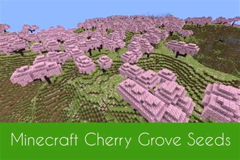 Image result for Minecraft Seeds Java Small Swamp