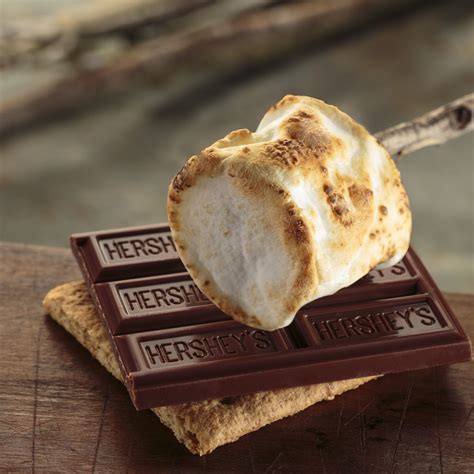 HERSHEY'S S'mores Kit Box, 14 oz