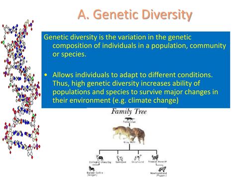 PPT - Importance of Biodiversity PowerPoint Presentation, free download ...