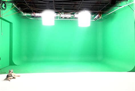 Green Screen Room 的图像结果