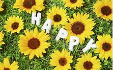 Happy Wallpaper For Computer by Free Desktop Happy Wallpapers Pixelstalk Net Happy Wallpaper For Computer