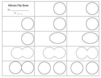 DIY Science with Ms Wolfe Teaching Resources | Teachers Pay Teachers