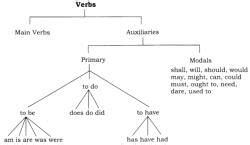 Verb - English Grammar Class 8 PDF Download